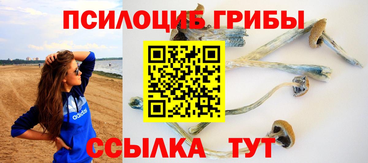 Домодедово  цены   Вход с VPN  Галлюциногенные грибы мухоморы 